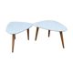 Paire de tables basse de style vintage