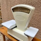 Old Scale Testud Beige