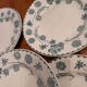 8 plates "flat" iron earth. Geranium.sarreguemine