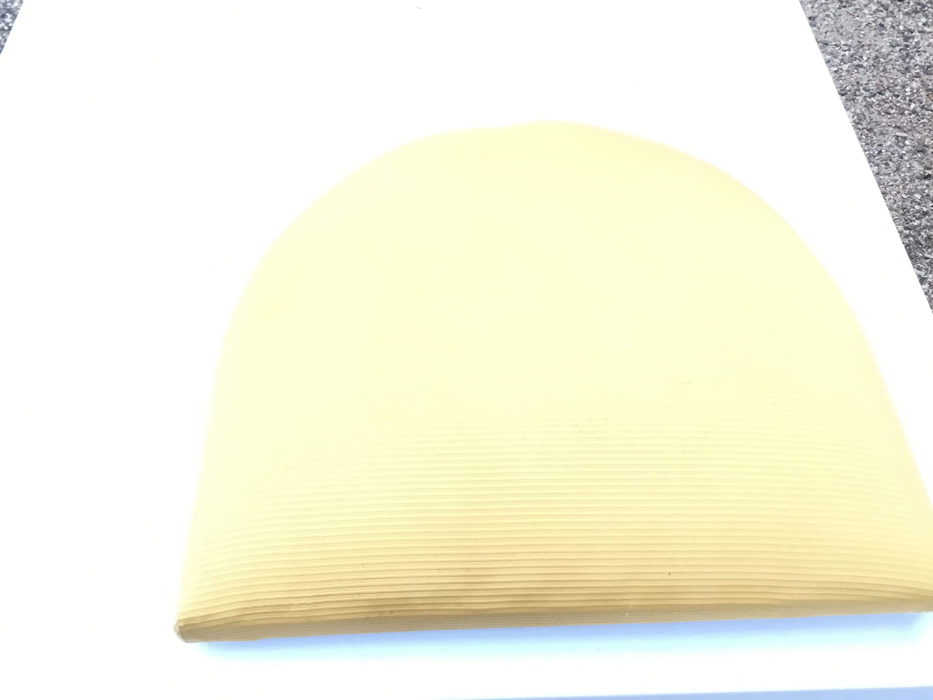 Pair of style restoration gondola chairs in mahogany XXth