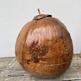 Exotic brutalist coconut ice bucket 1960