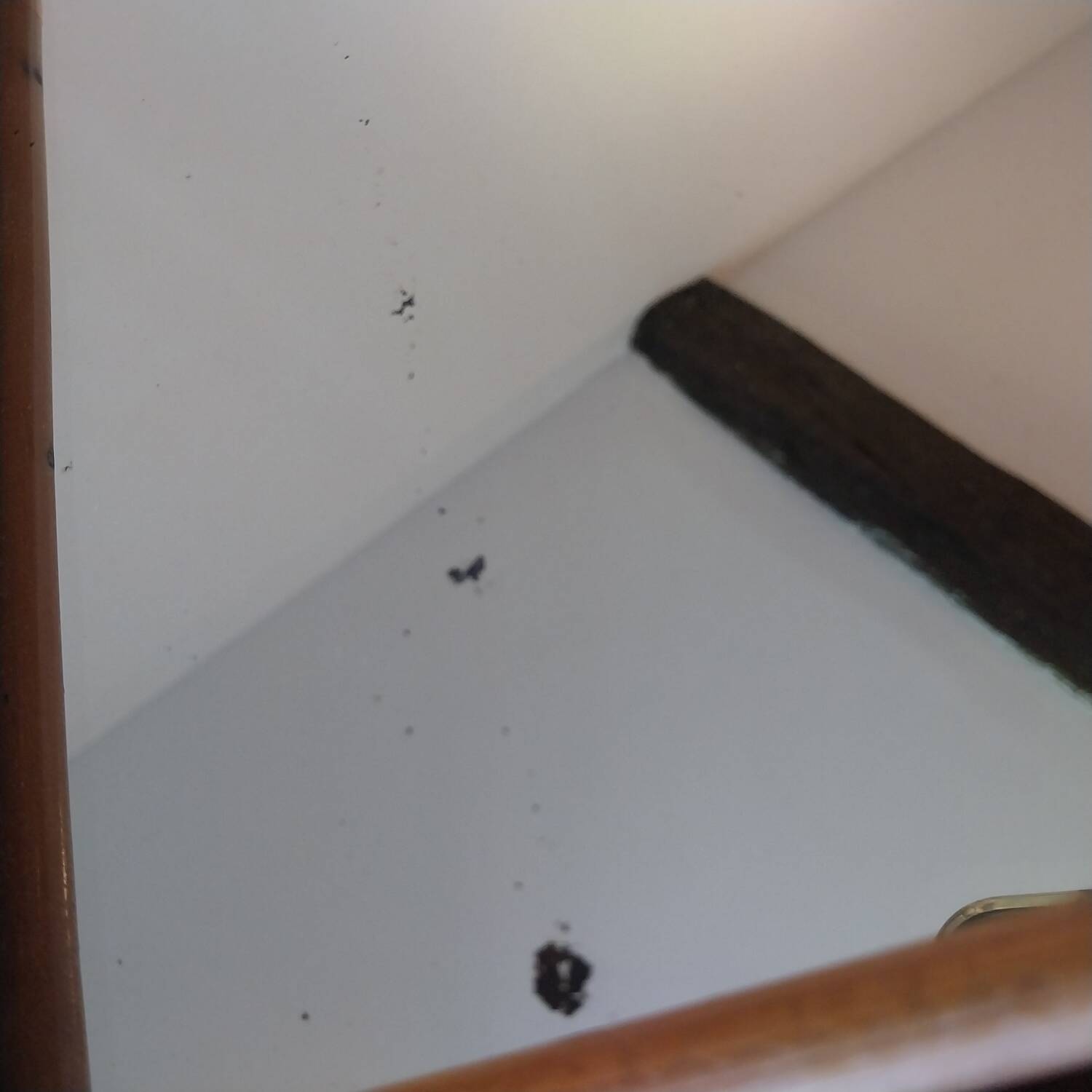 Authentic 1960s mirror in rattan/bamboo