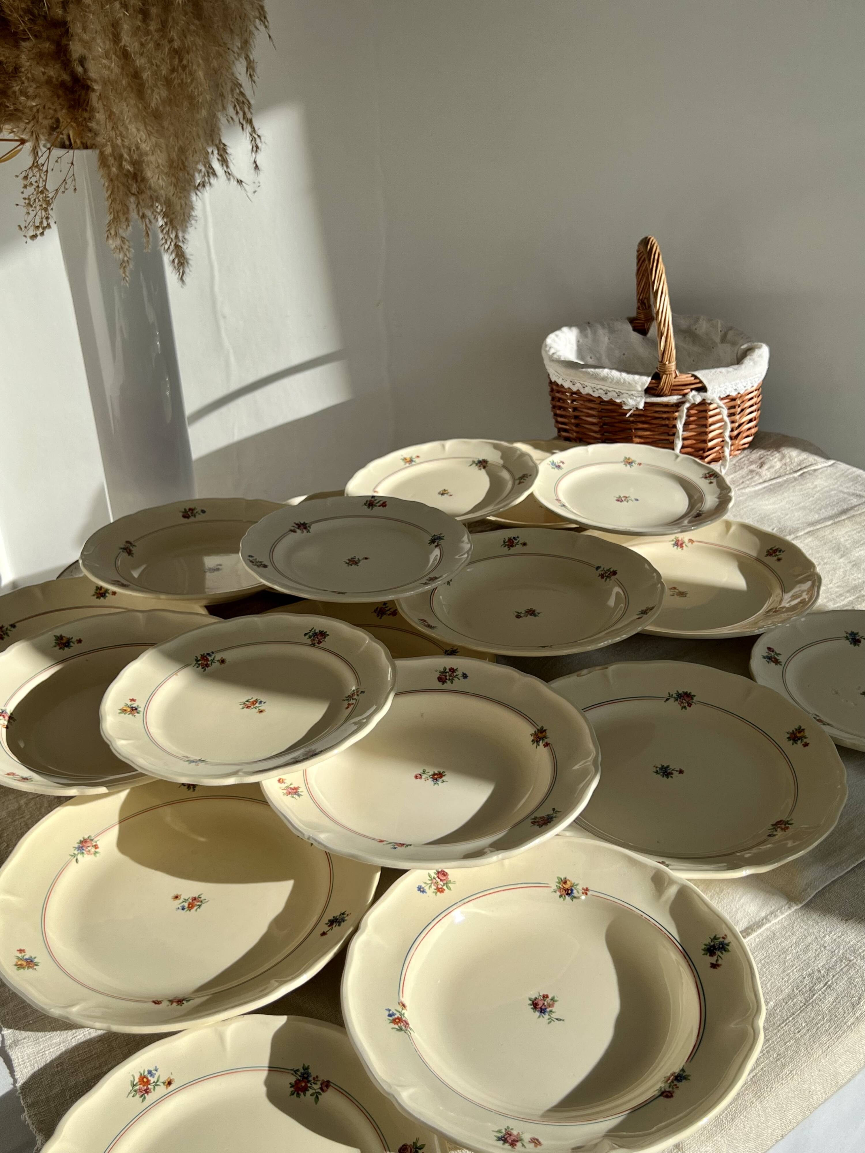 Set of 12 mdl plates - beauce model