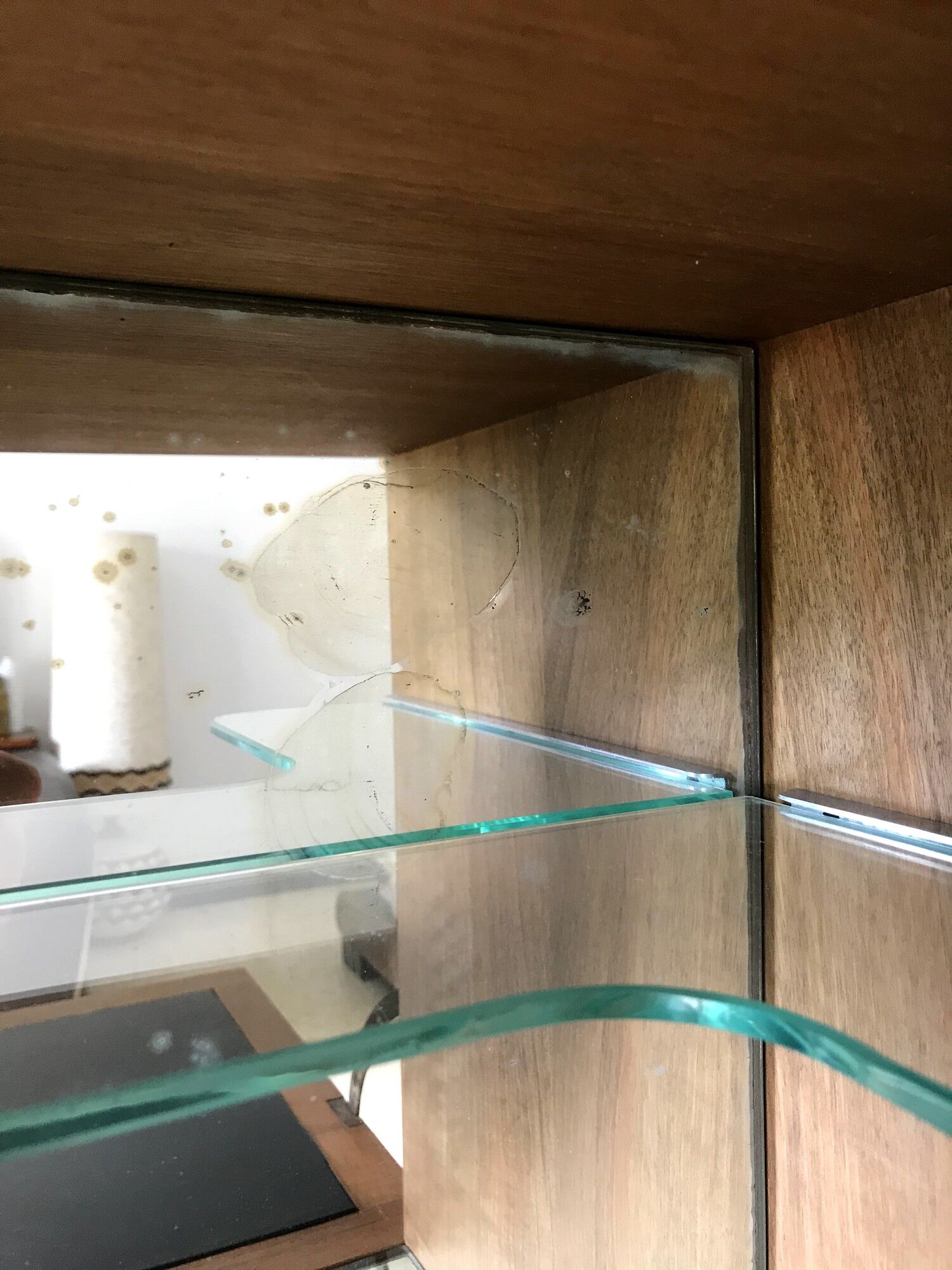 50s vintage MD bookcase