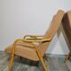 Lounge chairs by Antonin Suman