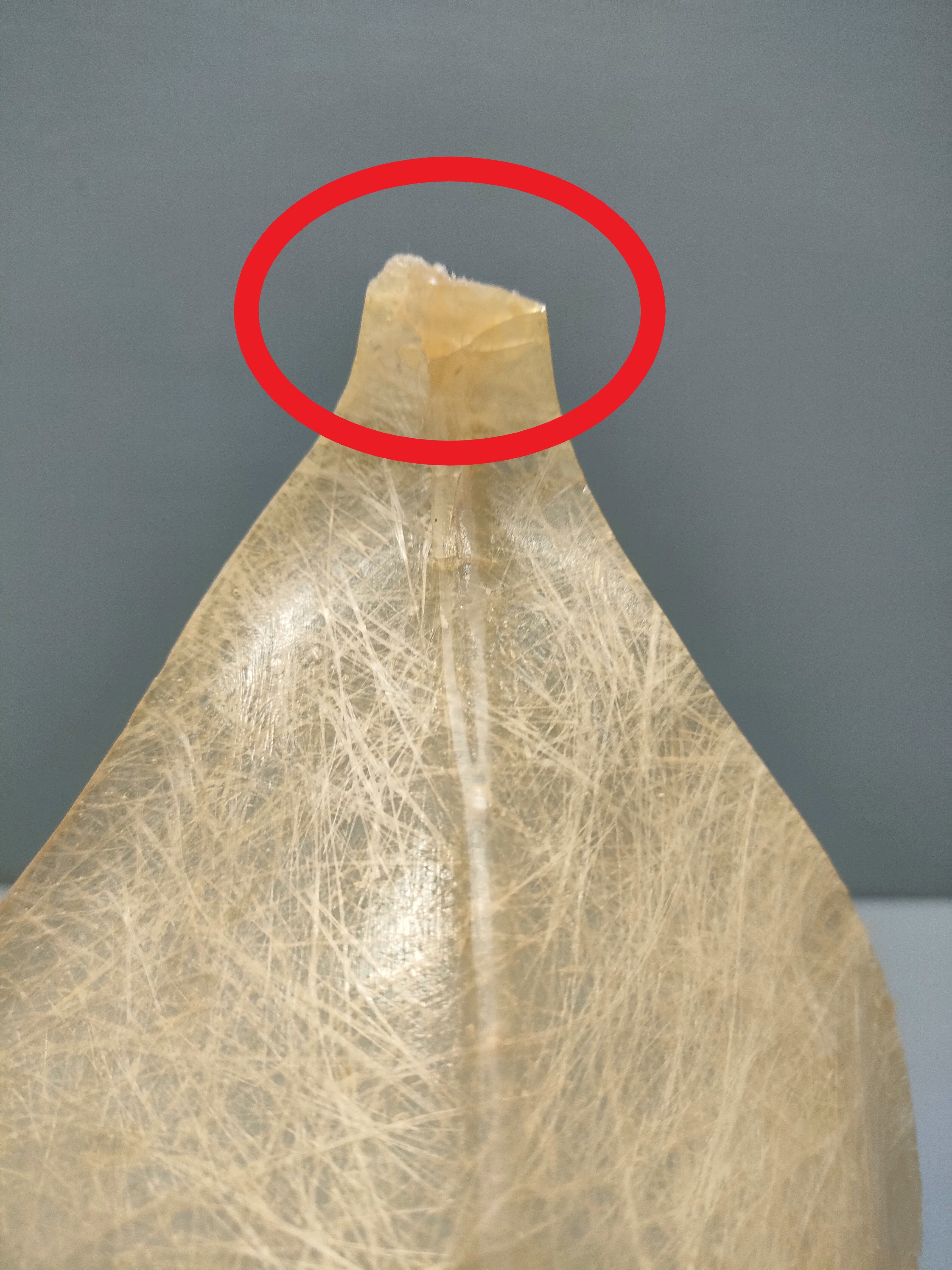 "Arum" table lamp 80's