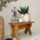 Plant holder