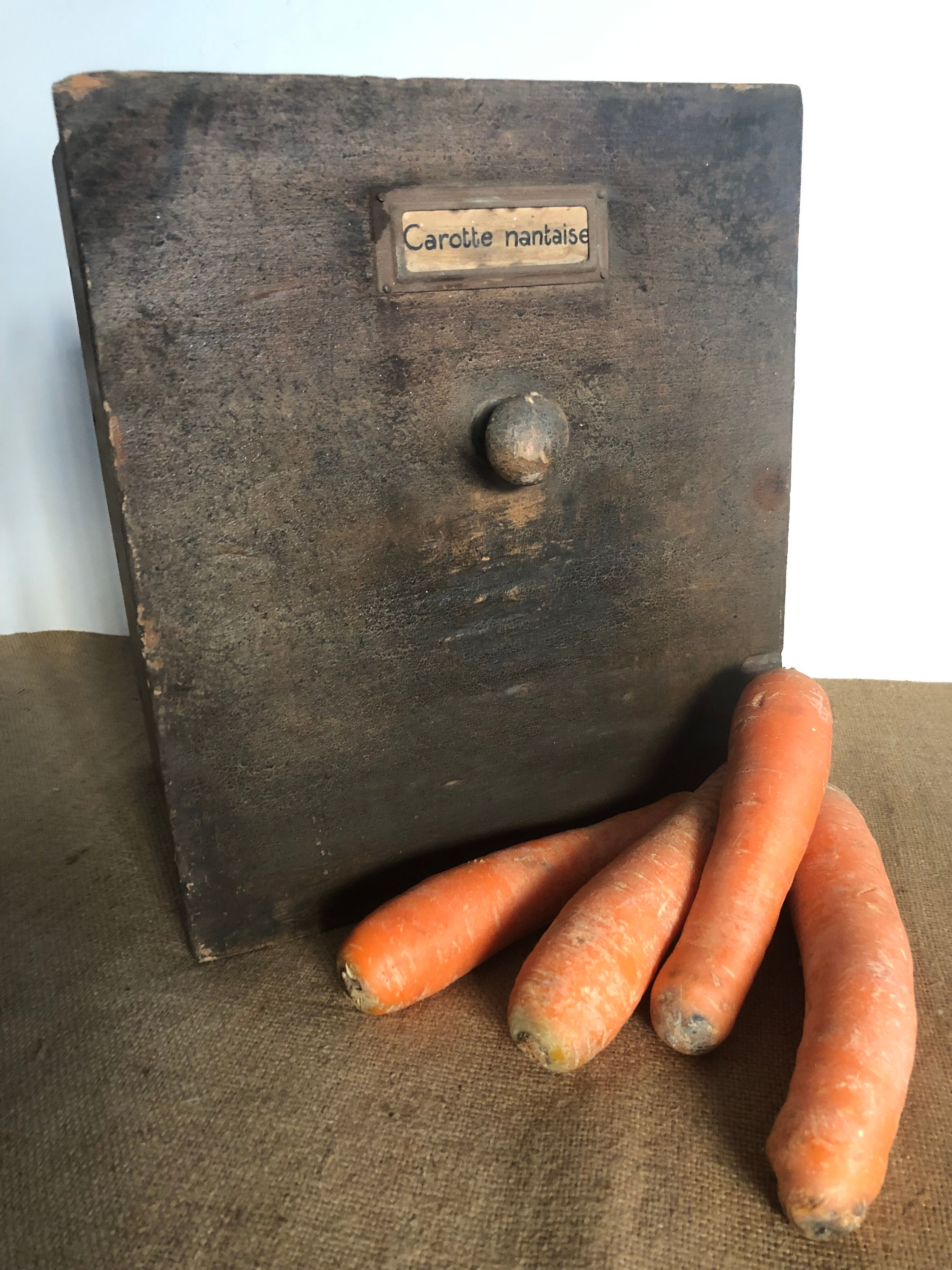 Tiroir d'un meuble de grainetier - Carottes nantaises