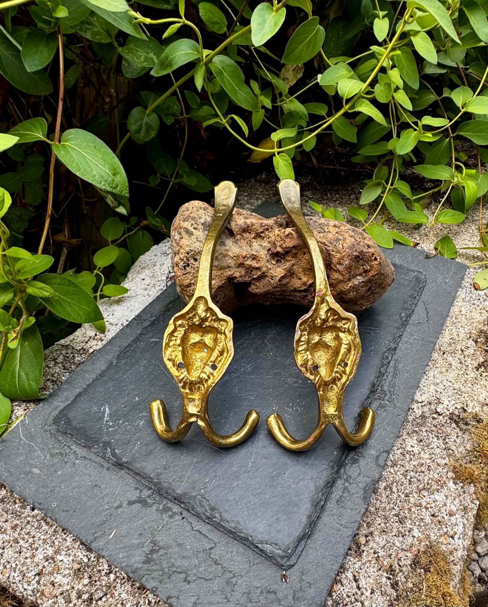 2 lion coat hooks in solid brass Art Nouveau