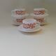 5 tasses à déjeuner Arcopal Scania