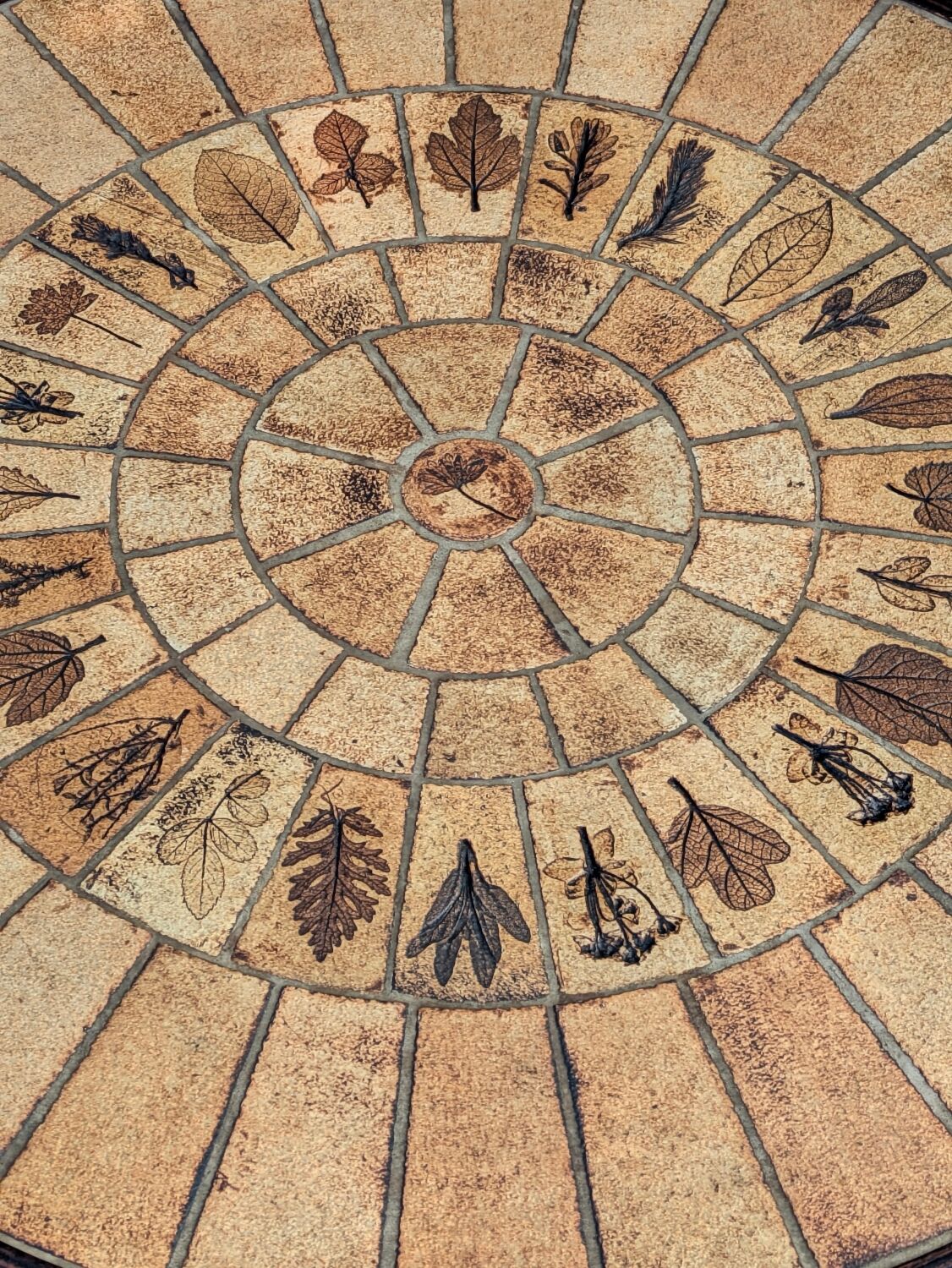 Vintage Herbier coffee table by Roger Capron