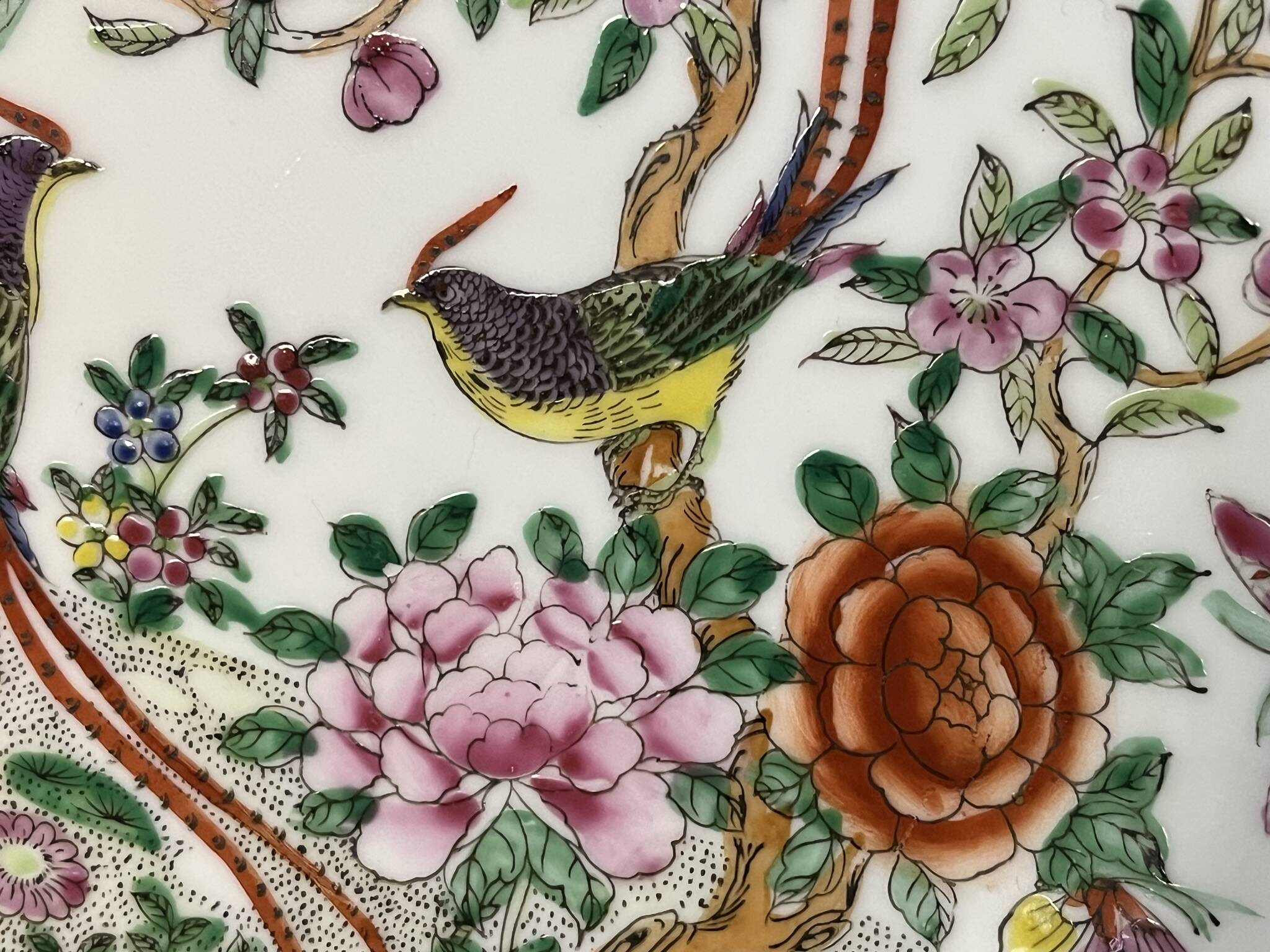 China, polychrome porcelain plate bird of paradise 20th century