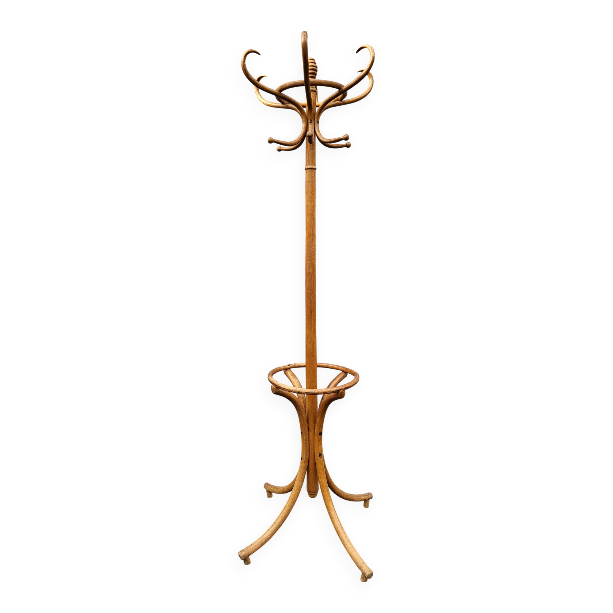 Parrot curved wood coat rack