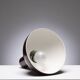 Suspension Louis Poulsen