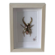 Hand-embroidered insect tableau (unique piece)