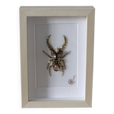 Tableau insecte brodé à la main (pièce unique)