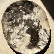 Très grand vide poche ou plat en bois pétrifié