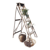 Antique wooden painter's stepladder