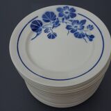 Flat plates badonviller nasturtiums