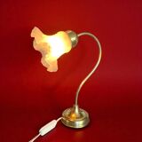 Antique brass and glass swan neck bedside lamp.