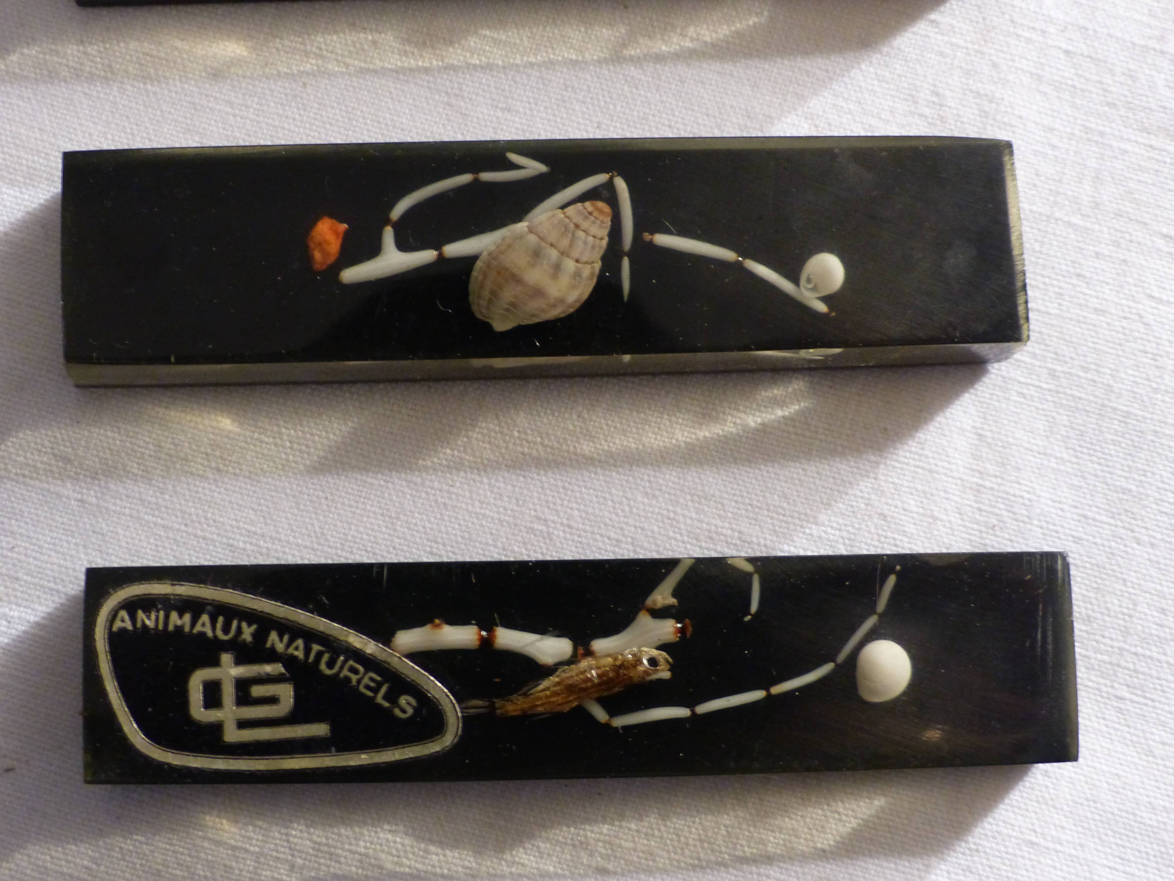 6 vintage knife holders, resin inclusion, shells.