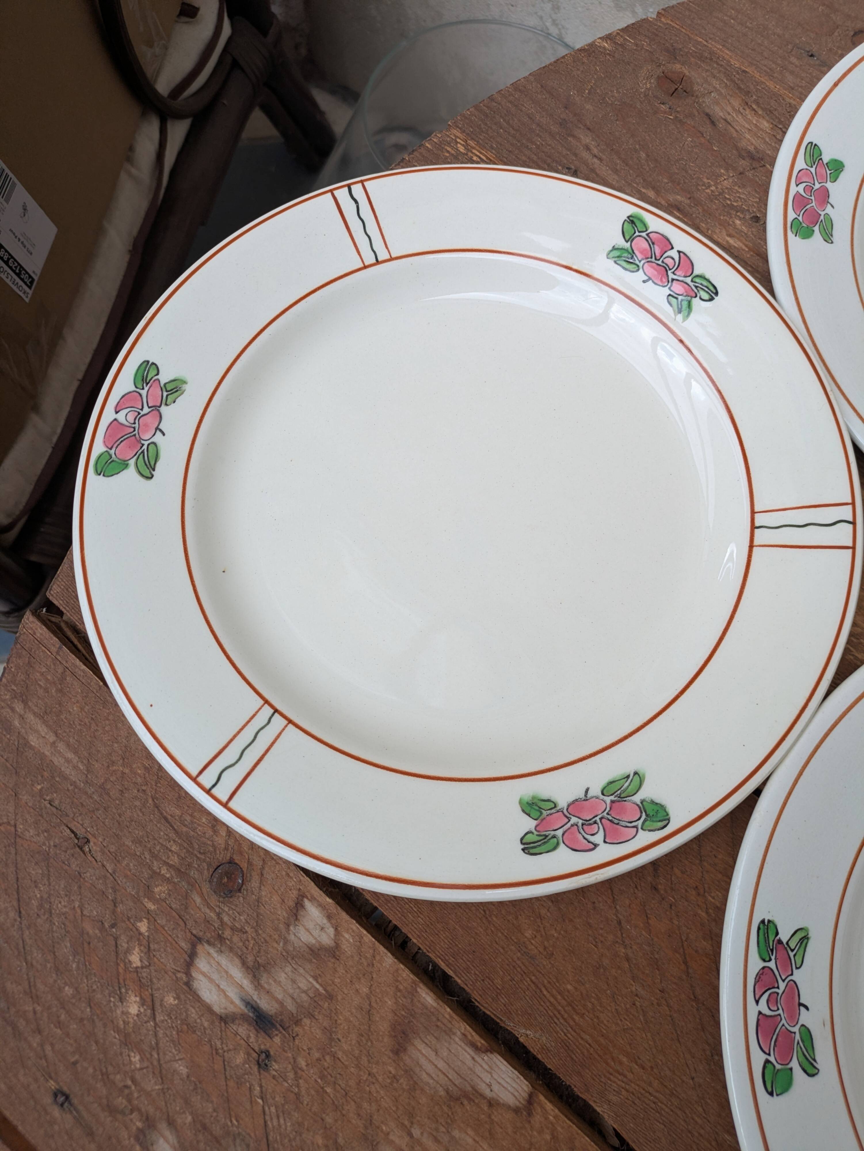 9 old flat plates in Salins ironstone model Nénuphar 24.5cm