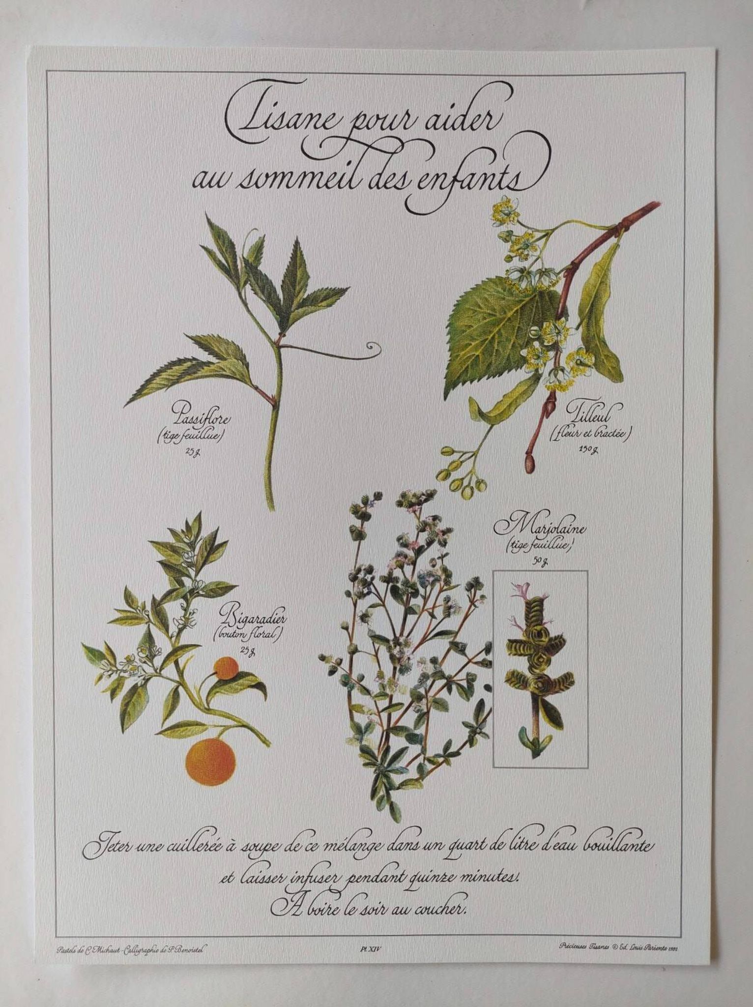 Botanical illustration -Herbal tea to help sleep- Engraving of medicinal plants and herbs