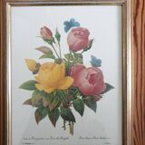 Planche botanique de Roses de P.J Redouté encadrée
