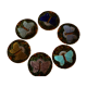 6 plates "Papillons"