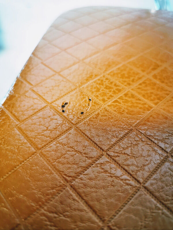 Pair of Soudexvinyl chairs