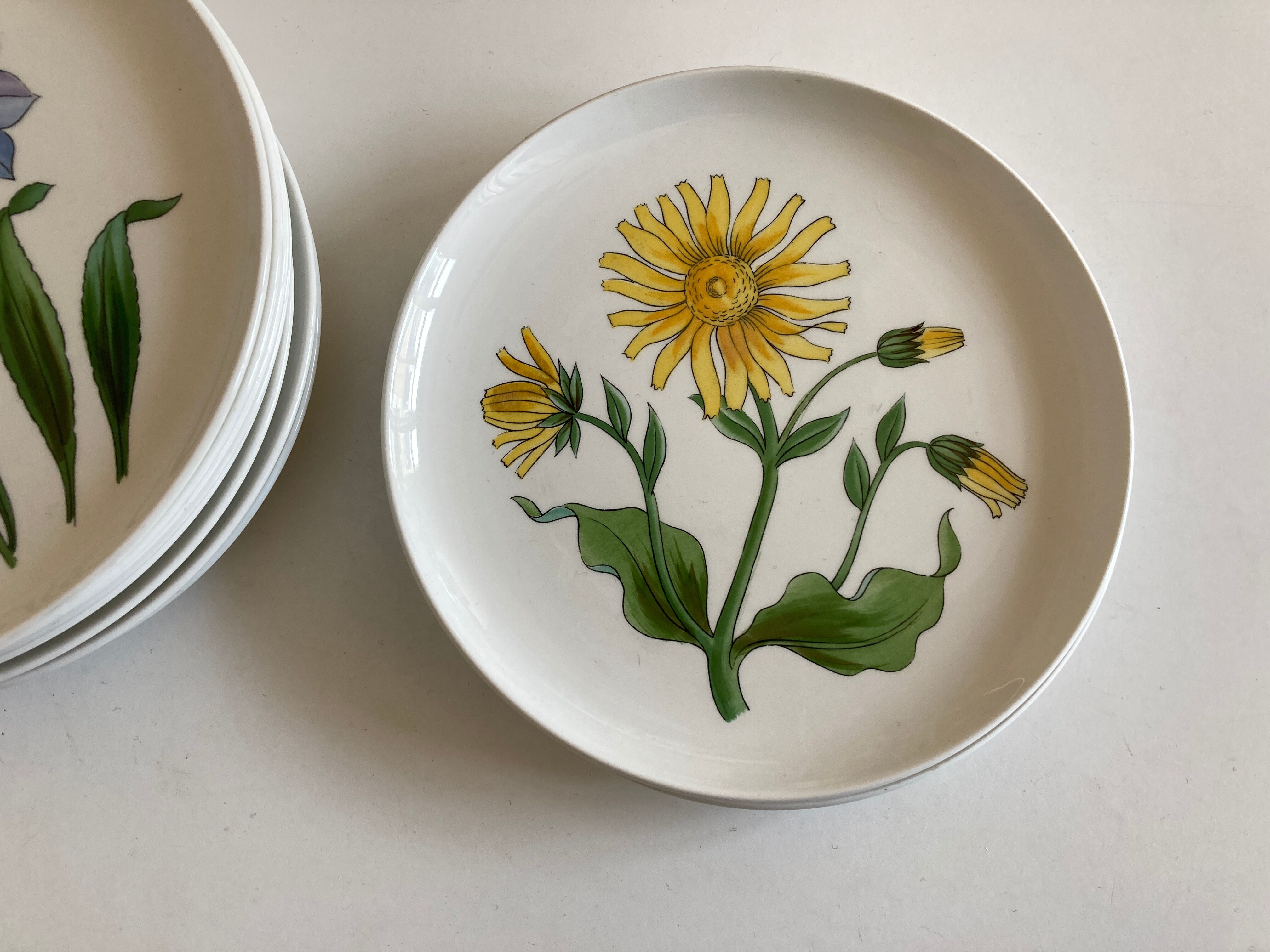 Set 11 assiettes fleurs Rorstrand Sweden Flora 1970