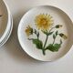 Set 11 assiettes fleurs Rorstrand Sweden Flora 1970