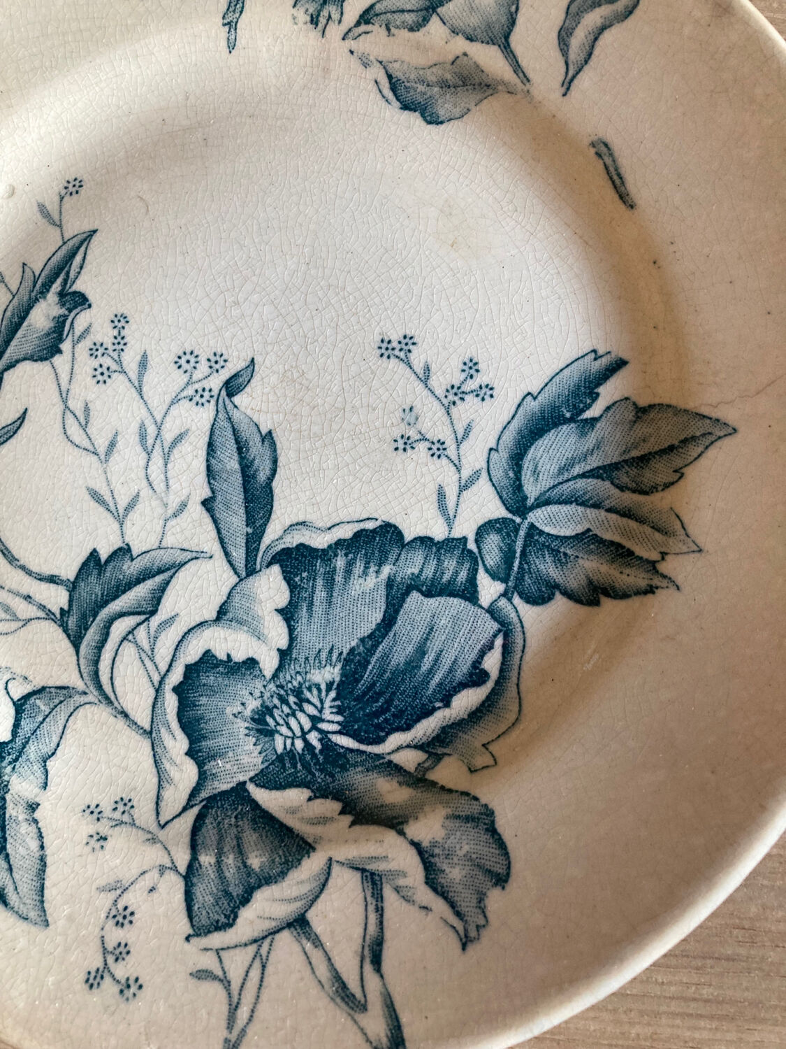 Assiette Terre de fer motif « Rose de Noël »