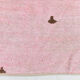 Tapis de chanvre rose poussiéreux 7x10, 212x301cm
