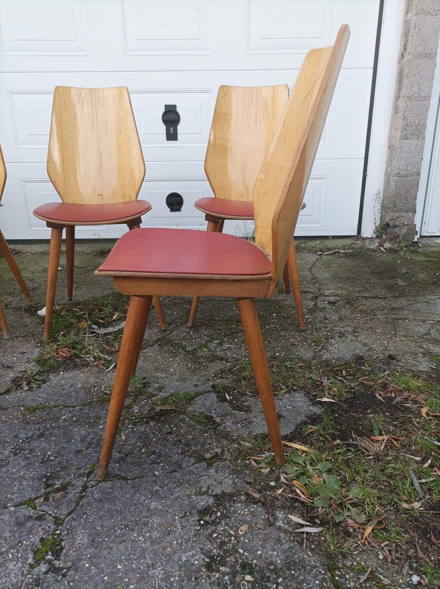 6 vintage Baumann chairs by Max Bill 50s