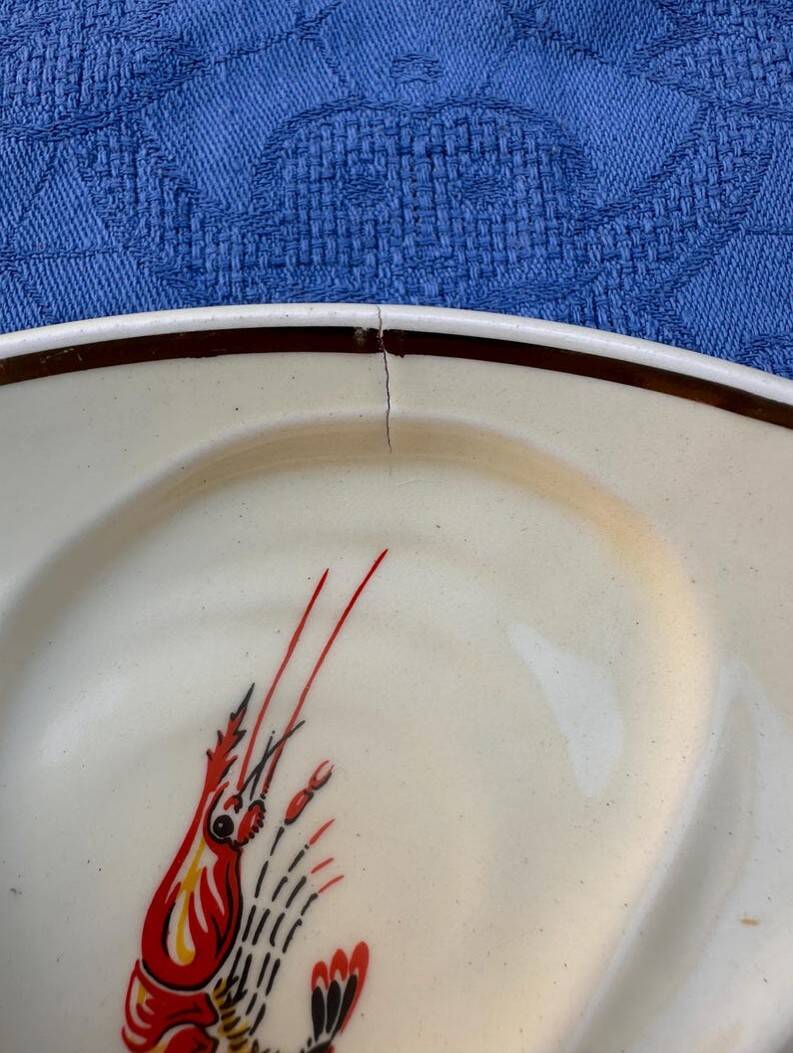 Lot de 4 assiettes à Huîtres Vintage crème Salins France