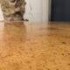 Table en loupe d'orme de Jean-Claude Mahey
