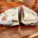 Paire de serre-livres en agate