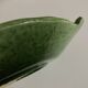 Aegitna deep dish in green glazed earthenware Fish Vallauris 1960