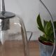 Suspension tulipe en verre biot transparent