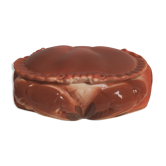 Terrine tourteau Caugant