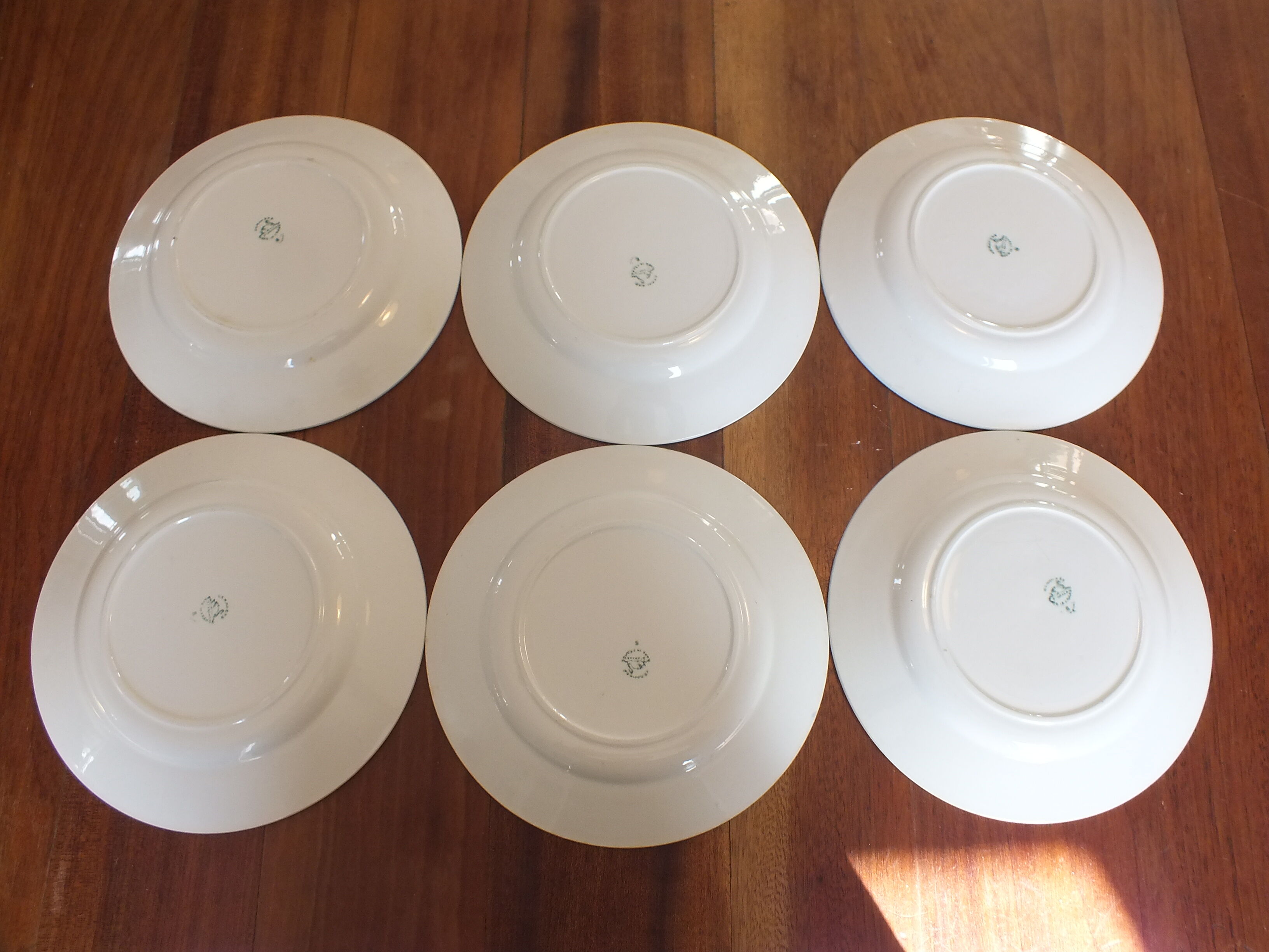 + 6 flat plates Céranord - Saint Amand model Eglantines Lot 2 +
