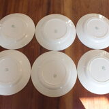 + 6 flat plates Céranord - Saint Amand model Eglantines Lot 2 +