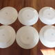 + 6 flat plates Céranord - Saint Amand model Eglantines Lot 2 +