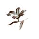 Vintage brass flower ashtray with removable petals.