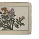 6 floral placemats