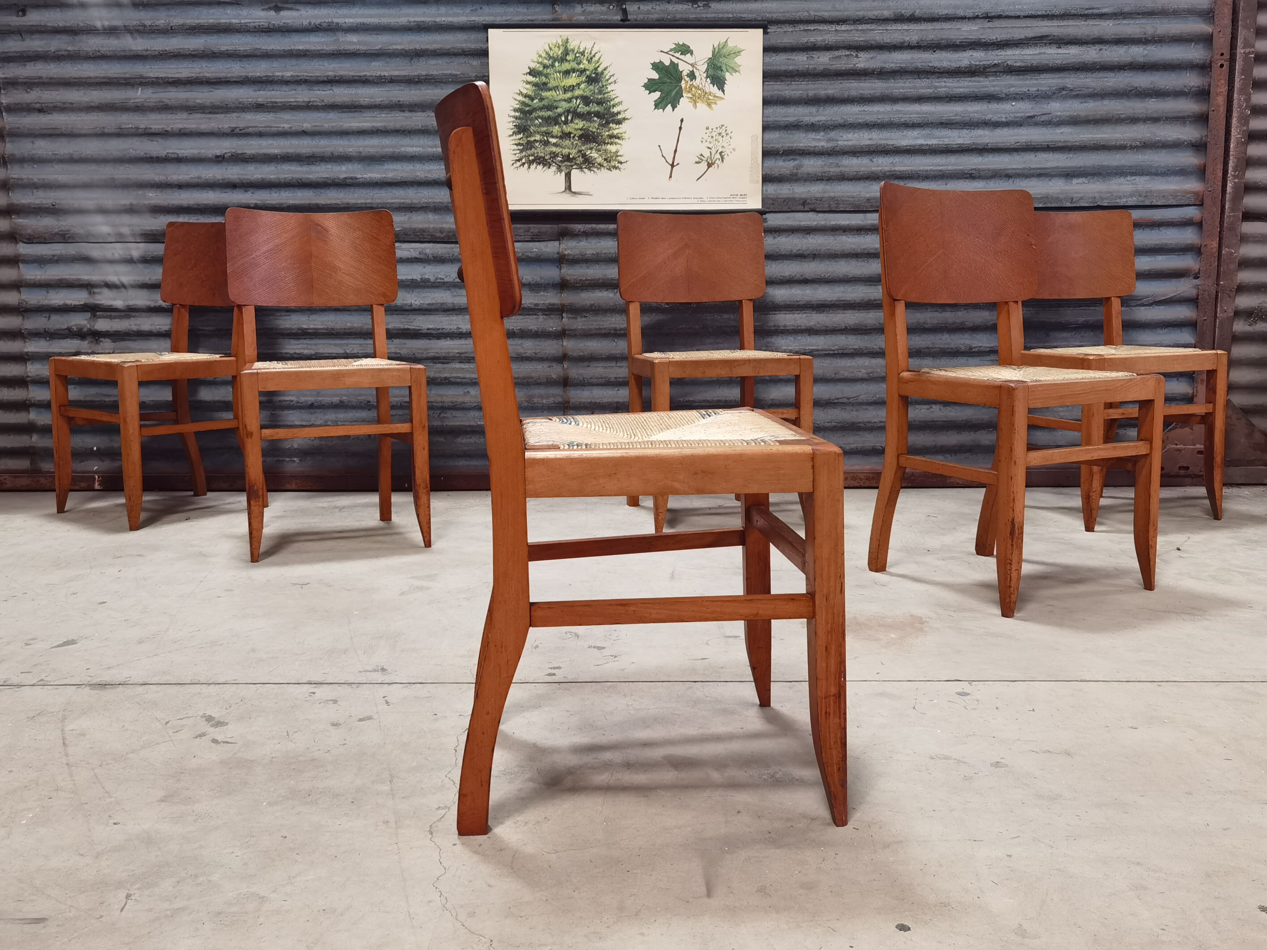 Set of 6 chairs straw wood reconstruction