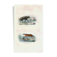 Planche zoologique originale " Hyène & Loutre du Canada " Buffon 1840