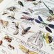 Poster about insects, based on a 1922 lithograph