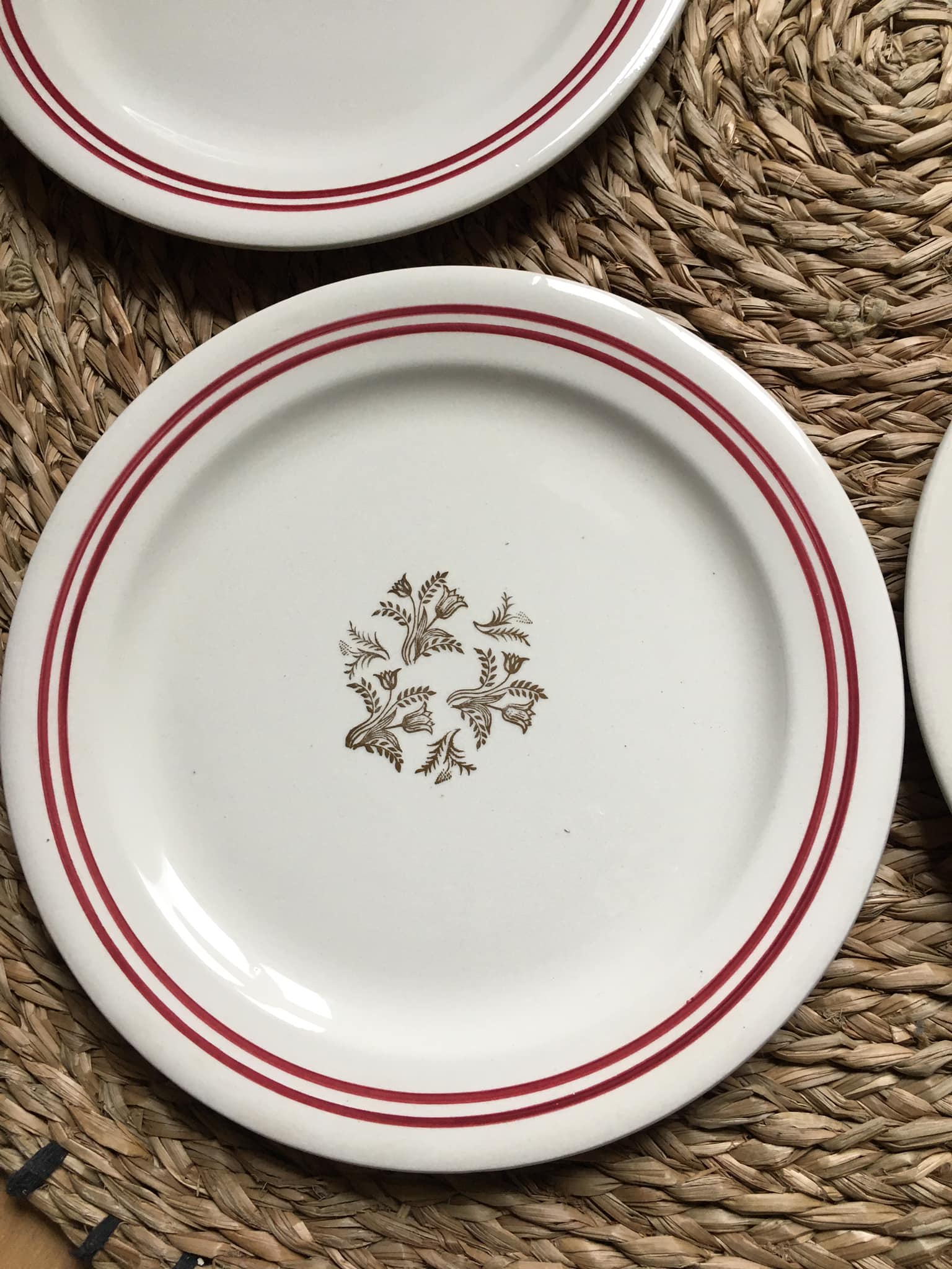 5 dessert plates in Gien porcelain France